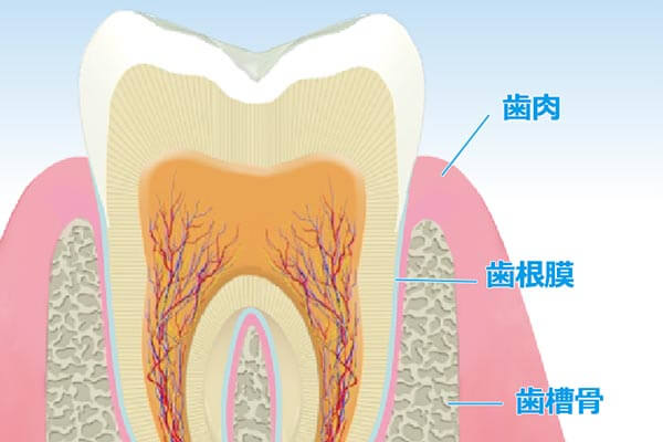 歯周病とは